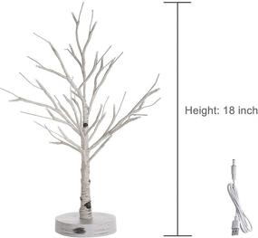 img 3 attached to 🎄 Beautiful White Christmas Tree: LED Birch Tree with 24 Warm White Lights for Wedding, Holiday, and Home Décor