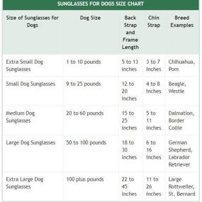 img 2 attached to 🐶 Stylish UV Protection Goggles for Extra Small Dogs - WESTLINK Dog Sunglasses Eye Wear: Pet Fashion