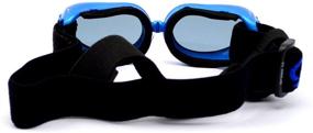 img 3 attached to 🐶 Stylish UV Protection Goggles for Extra Small Dogs - WESTLINK Dog Sunglasses Eye Wear: Pet Fashion