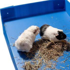 img 2 attached to 🐹 Guinea Pig Cage Liner - Midlee Corrugated Plastic, Dimensions: 47" x 24