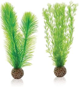 img 4 attached to 🌿 Enhance Your Aquarium with the biOrb 46083.0 Feather Fern Set - Small Green Aquatic Wonder