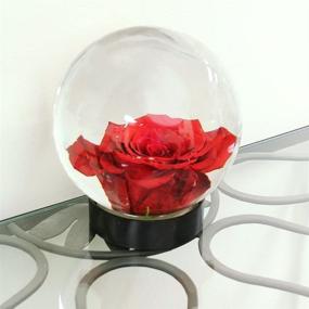img 1 attached to 🌺 Achla Designs Glass Flower Aquarium: Stunning Globe Vase for Underwater Oasis