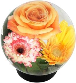 img 3 attached to 🌺 Achla Designs Glass Flower Aquarium: Stunning Globe Vase for Underwater Oasis