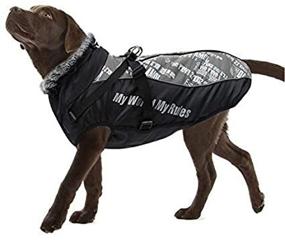 img 1 attached to FEimaX Dog Coat: Premium Winter Jacket for Cold 🐶 Weather, Adjustable Plush Neckline, Ideal for Small Medium Large Dogs