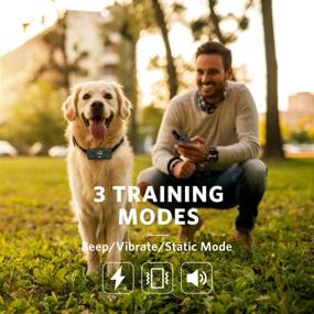 img 3 attached to 🐶 DOG CARE Rechargeable Dog Training Collar - Beep, Vibration, and Shock Modes, Rainproof, Long Remote Range, Adjustable Levels - Shock Collars for Dogs with Remote
