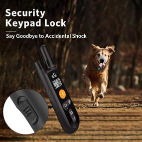 img 2 attached to 🐶 DOG CARE Rechargeable Dog Training Collar - Beep, Vibration, and Shock Modes, Rainproof, Long Remote Range, Adjustable Levels - Shock Collars for Dogs with Remote