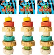 🐦 premium bird kabob especial - 3 pack: unleash joy for your feathered friends logo