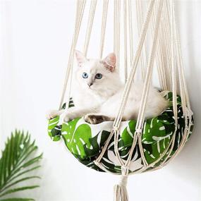 img 1 attached to 🐱 HIPIPET Cat Hammock Bed with 2 Cushions Tapestry Swing Macrame Cotton Rope Cat Window Perch Wall Hanging Cat Bed - Perfect for Indoor Cats Sleeping