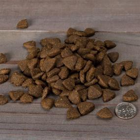 img 2 attached to 🐶 Nulo Freestyle Dry Puppy Food: Grain Free Kibble with DHA for Brain Development - Ideal for Large Breed Puppies