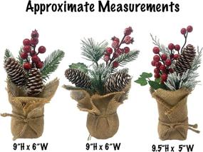 img 3 attached to Set of 3 Pine Berry Pinecone Potted Christmas Decorations - Tabletop Arrangements with Burlap Wrapped Bases - Festive Holiday Decor - Red Berries - Flocked Pine Twigs - Snow Tipped Pinecones