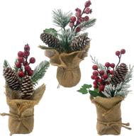 set of 3 pine berry pinecone potted christmas decorations - tabletop arrangements with burlap wrapped bases - festive holiday decor - red berries - flocked pine twigs - snow tipped pinecones логотип