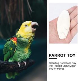 img 2 attached to 🦜 POPETPOP Bird Beak Stone -12PCs Bird Cuttle Bone Parrot Beak Grinder Desalting Cuttlebone Toy Pet Training Chew Molar Toy (Various Sizes)