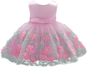 img 4 attached to 👗 Dressy Daisy Baby Girls Wedding Flower Girl Pageant Dress: Stunning Tulle Skirt for Special Occasions in Blue, Pink, Purple, and Yellow