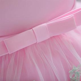 img 1 attached to 👗 Dressy Daisy Baby Girls Wedding Flower Girl Pageant Dress: Stunning Tulle Skirt for Special Occasions in Blue, Pink, Purple, and Yellow