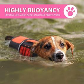 img 3 attached to 🐶 Queenmore Dog Life Jacket: Essential Lifesaver for Small & Medium Dogs - High Buoyancy with Grab Handle & Emergency Features