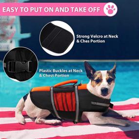 img 1 attached to 🐶 Queenmore Dog Life Jacket: Essential Lifesaver for Small & Medium Dogs - High Buoyancy with Grab Handle & Emergency Features