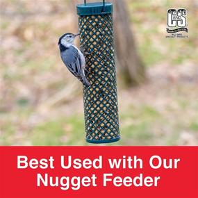 img 1 attached to 🐦 C & S Products Peanut Nuggets: Convenient Pack of 6 - Ideal Bird Food