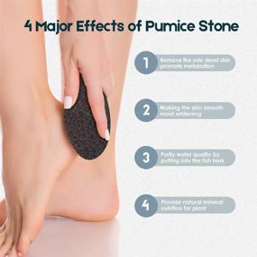 img 2 attached to 👣 Vridale Pumice Stones for Feet: Ultimate Foot Care Solution for Callus Removal and Exfoliation