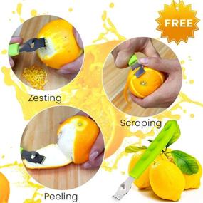 img 1 attached to 🍋 Stainless Steel Manual Lemon Lime Juicer - VKQOLH Metal Hand Squeezer for Fruits, Handheld Citrus Squeezer, Perfect for Kitchen Juice Making (M)