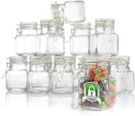 🍶 12 pack of 3 oz small glass jars with airtight lids – leak proof rubber gasket and hinged lid for home, kitchen, and party favors – glass spice jars with lids logo