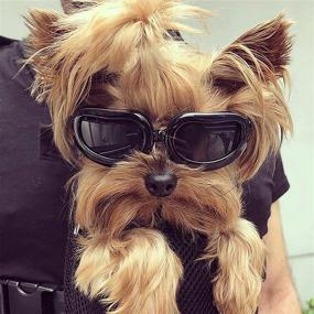 img 4 attached to 🕶️ Protective Small Dog Sunglasses: PETLESO Doggie Puppy Goggles for Small Dogs, Black