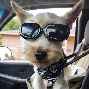 img 2 attached to 🕶️ Protective Small Dog Sunglasses: PETLESO Doggie Puppy Goggles for Small Dogs, Black