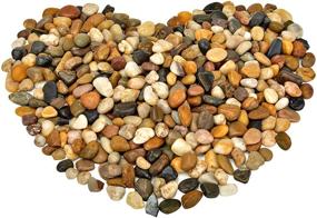 img 4 attached to 🌿 Enhance Your Décor with Mr. Fireglass Polished Pebbles Decorative Natural Stones: Perfect Aquarium Gravel, Landscaping Rocks, Vase Filler, Fish Tank Gems