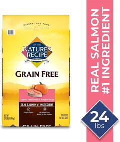 img 3 attached to 🐶 Nature's Recipe Grain Free Easy to Digest Dry Dog Food: Real Meat, Sweet Potato & Pumpkin