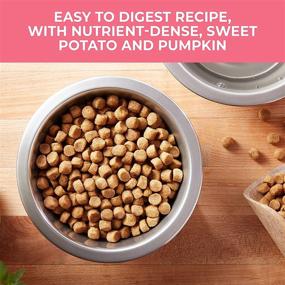 img 1 attached to 🐶 Nature's Recipe Grain Free Easy to Digest Dry Dog Food: Real Meat, Sweet Potato & Pumpkin