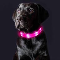 🐶 rechargeable led dog collar light - azivipet: glow in the dark, waterproof, small medium large dogs – perfect for night walking, lighted dog collar logo