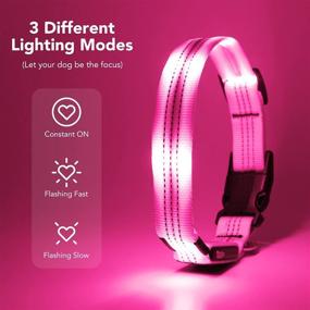 img 3 attached to 🐶 Rechargeable LED Dog Collar Light - AziviPET: Glow in The Dark, Waterproof, Small Medium Large Dogs – Perfect for Night Walking, Lighted Dog Collar