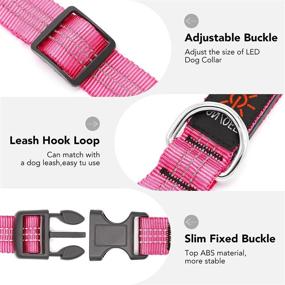 img 1 attached to 🐶 Rechargeable LED Dog Collar Light - AziviPET: Glow in The Dark, Waterproof, Small Medium Large Dogs – Perfect for Night Walking, Lighted Dog Collar