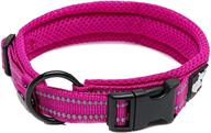 🐾 premium reflective true love dog collar with duraflex buckle - high grade nylon webbing design, no choke basic collar by truelove logo