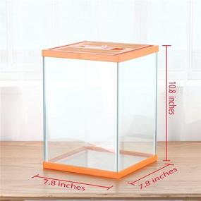 img 3 attached to Crapelles Reptile Tank: Orange Glass 🐛 Terrarium for Butterfly Larvae, Stick Insects, and More