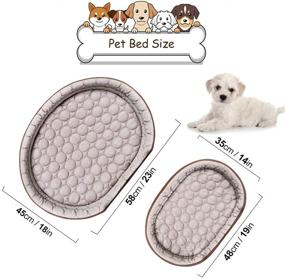 img 1 attached to 🐱 Ideapro Cat Bed Small Dog Bed: All-Seasons, Machine Washable Pet Mat for Small Dogs and Cats