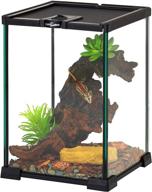 🦎 reptizoo mini reptile glass terrarium tank with full view in 8x8x12 dimensions – visually attractive habitat featuring top feeding & ventilation for small reptiles logo