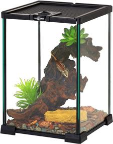 img 4 attached to 🦎 REPTIZOO Mini Reptile Glass Terrarium Tank with Full View in 8x8x12 dimensions – Visually Attractive Habitat featuring Top Feeding & Ventilation for Small Reptiles