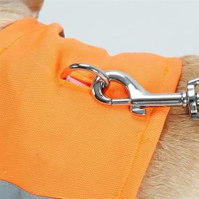 img 1 attached to 🐾 Delifur Reflective Pet Scarf: Enhance Safety with Neon Bandana Neck Gaiter for Teddy, Golden, Fluorescent Pets