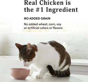 img 1 attached to Kitzy Wet Cat Food - Grain Free, 3oz 🐱 Pack of 24 (Salmon, Chicken, Tuna) - Shop Now on Amazon!