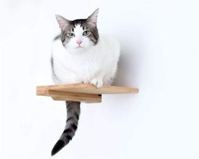 img 1 attached to 🐱 Wooden Cat Step Shelf - by CatastrophiCreations