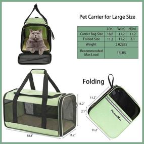 img 3 attached to 🐱 Phoenix Kiss Large Cat Carrier for 2 Cats - Spacious & Portable Cat Bag - Collapsible Dog Carrier - Top Loading Design - Airline Approved