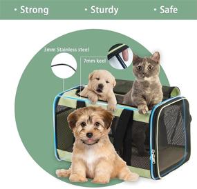 img 2 attached to 🐱 Phoenix Kiss Large Cat Carrier for 2 Cats - Spacious & Portable Cat Bag - Collapsible Dog Carrier - Top Loading Design - Airline Approved