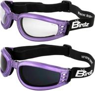 очки для мотоциклистов birdz eyewear cardinal. логотип