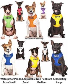 img 2 attached to 🔵 Blue Color Coded Non-Pull Dog Training Harness - Prevent Accidents, Warn Others!