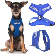 🔵 blue color coded non-pull dog training harness - prevent accidents, warn others! logo