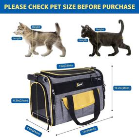 img 2 attached to 🐾 Petotw Pet Carrier - Small Dog & Cat Carrier, Airline Approved, Soft-Sided Travel Kennel, Portable Foldable Bag for Dogs & Cats