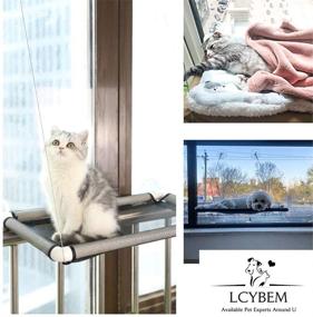 img 1 attached to 🐱 Lcybem Cat Window Perch - Plush Pad Cat Hammocks for Window with Space Saving Design, Holds Two Large Cats Safely, 360° Sunbathe and Pet Resting Seat for Indoor Comfort