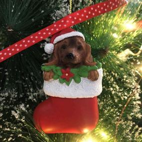 img 3 attached to Cici Jimmy Dachshund Chirstmas Collectibles 3 5