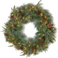 national tree company pre-lit colonial fir christmas wreath, 24 inch, green with white lights, pine cones & berry clusters - festive decor from christmas collection logo