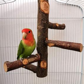 img 2 attached to Dotlite Nature Parrots Branch Подходит